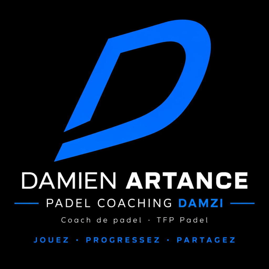 logo-damzi